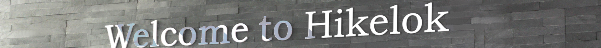head_banner