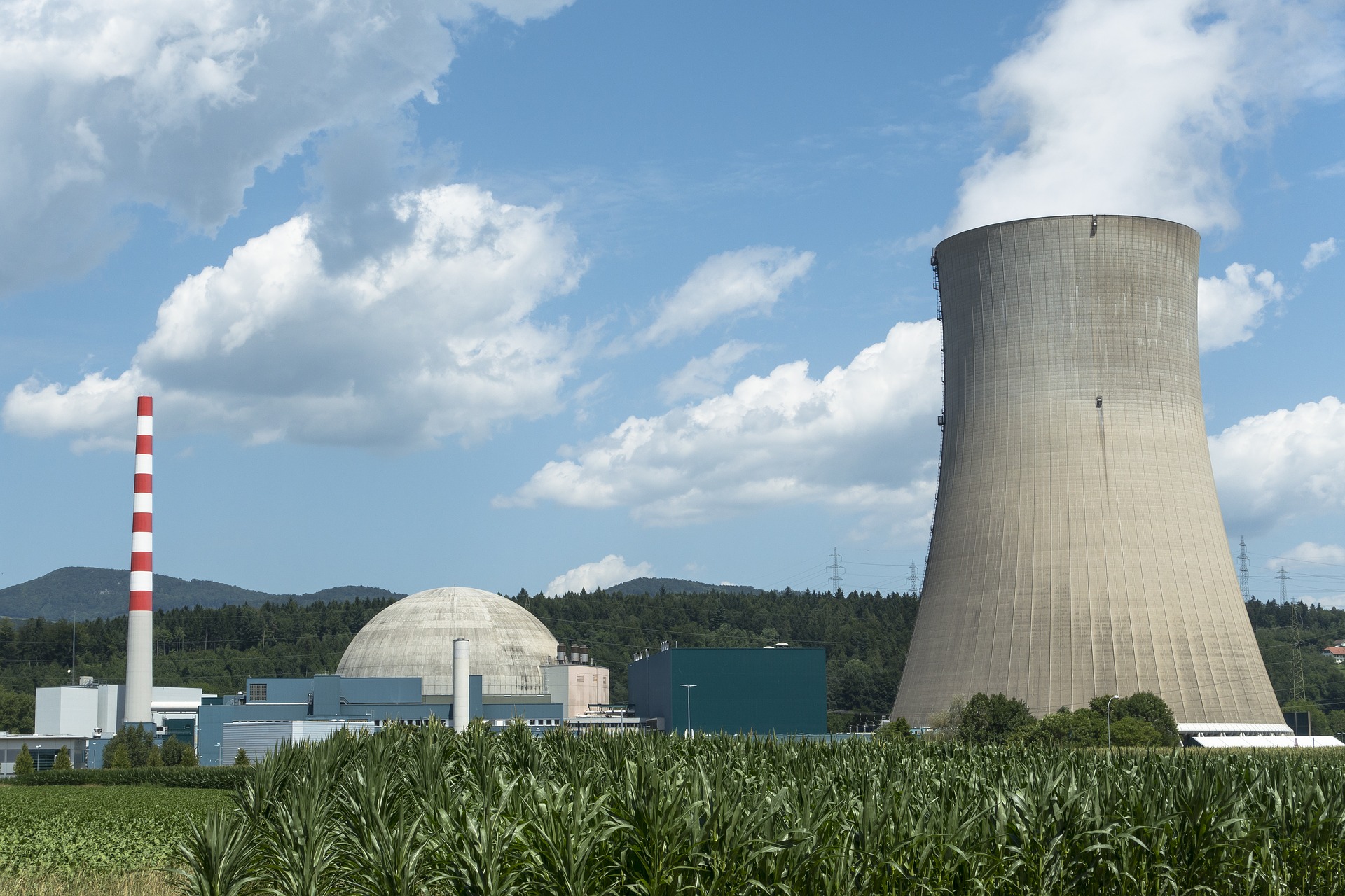 Thermal Power & Nuclear Power